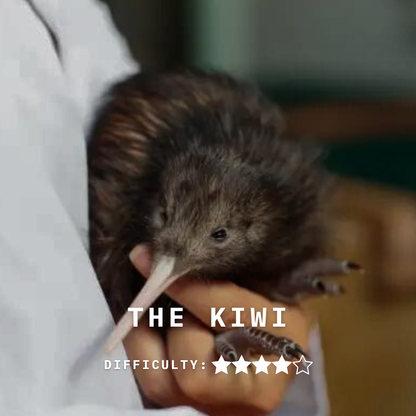 THE KIWI